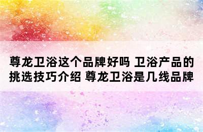 尊龙卫浴这个品牌好吗 卫浴产品的挑选技巧介绍 尊龙卫浴是几线品牌